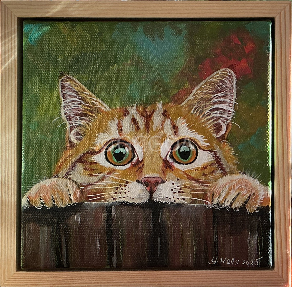 Ginga the cat - Gold Coast Gallery Of ArtYvonne Wells