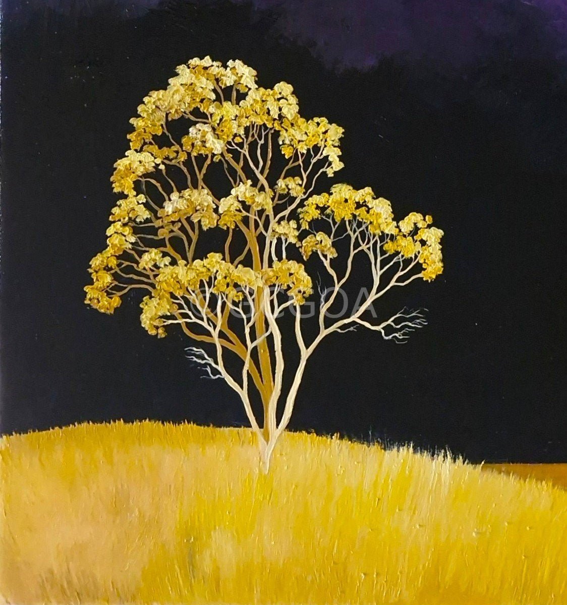 Golden Witness - original art - Gold Coast Gallery Of ArtLucinda Leveille