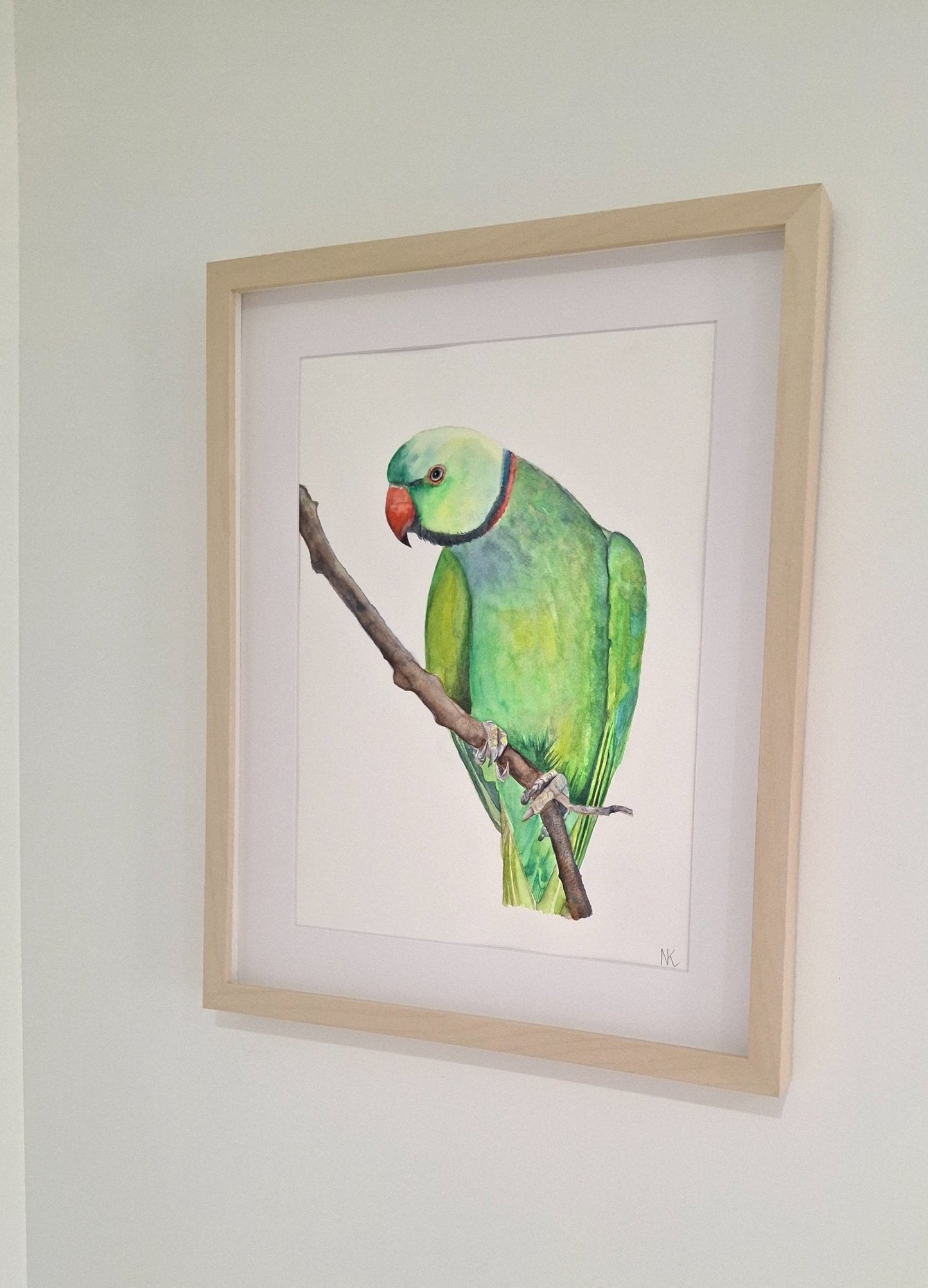 Green Parrot Watercolour Framed - Gold Coast Gallery Of ArtNatalie K
