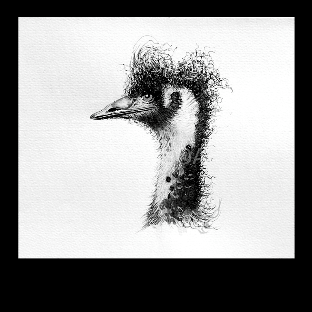 Gudgeon The Emu - Original Art - Gold Coast Gallery Of ArtYvonne Wells
