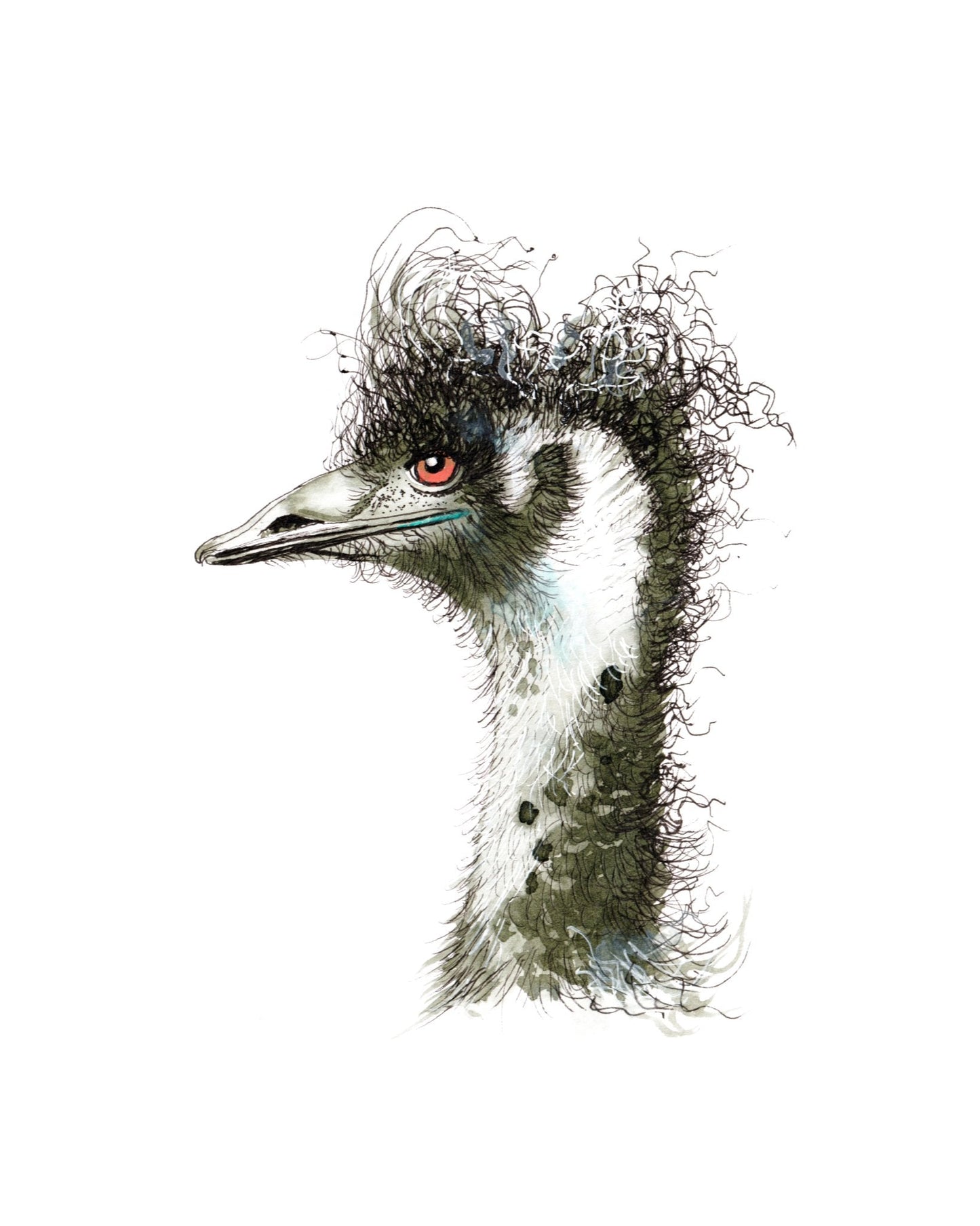 Gudgeon The Emu - Original Art - Gold Coast Gallery Of ArtYvonne Wells