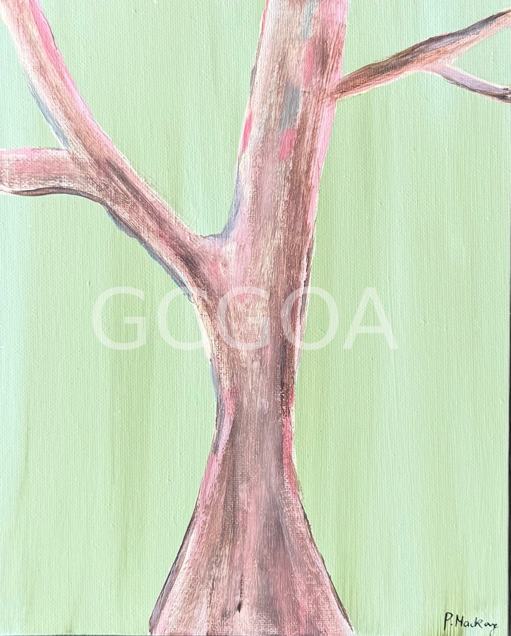 Gum - Gold Coast Gallery Of ArtPaula Mackay