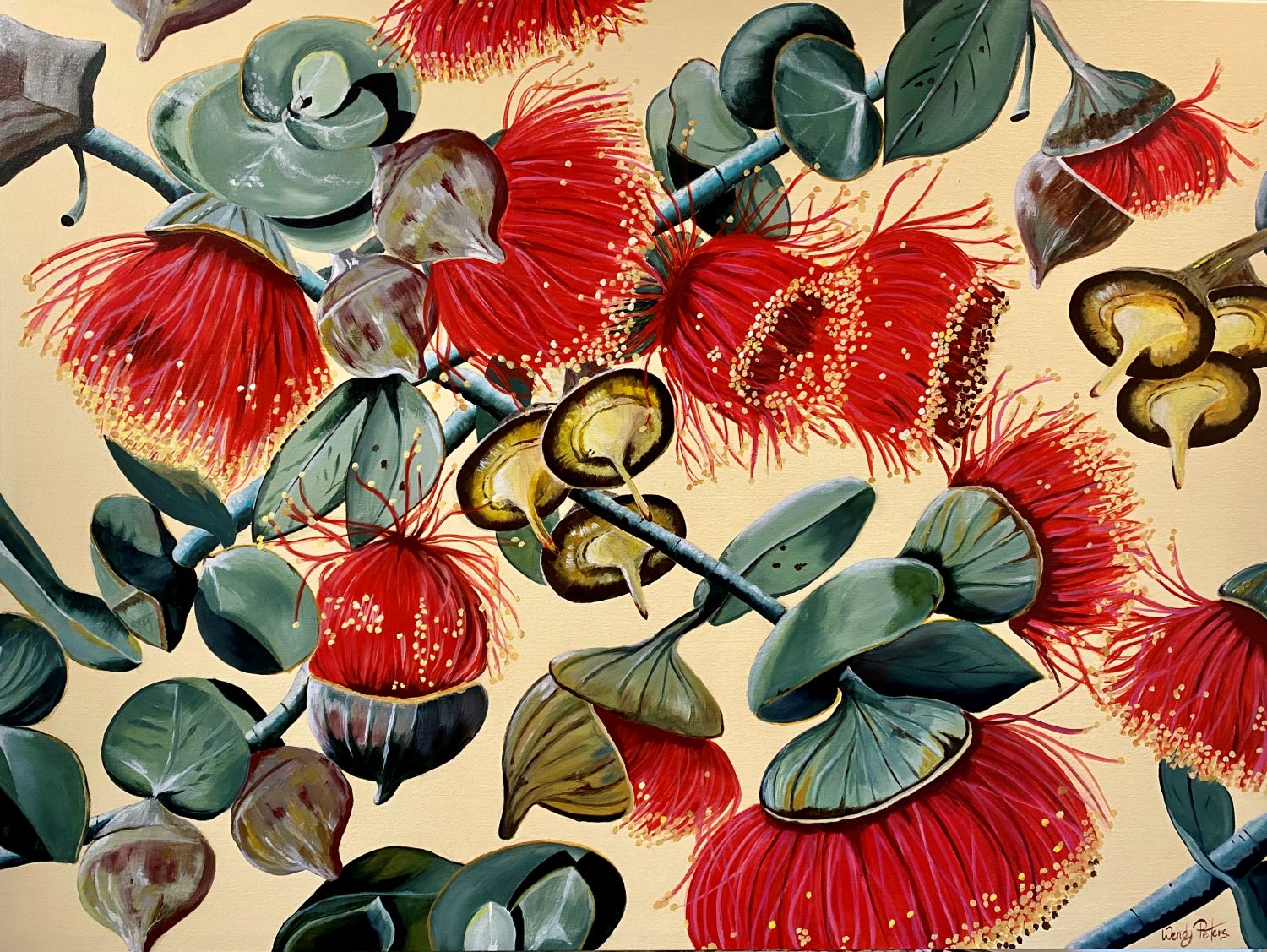 Gum Nut Glory - Original Art - Gold Coast Gallery Of ArtWendy Peters