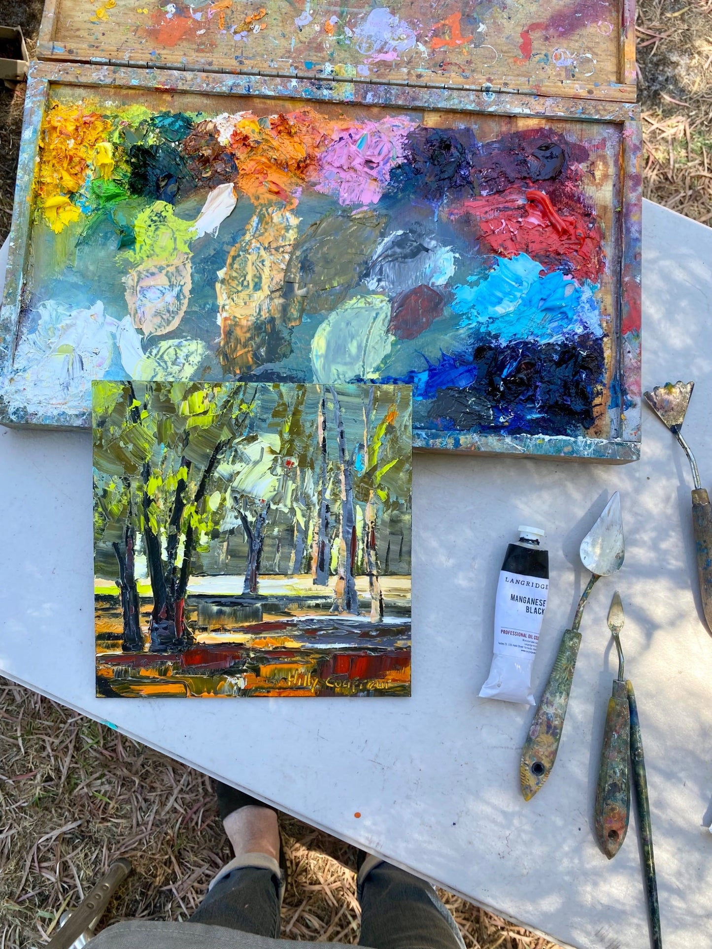 Gumtree Forest - Plein Air - Gold Coast Gallery Of ArtHilly Coufreur