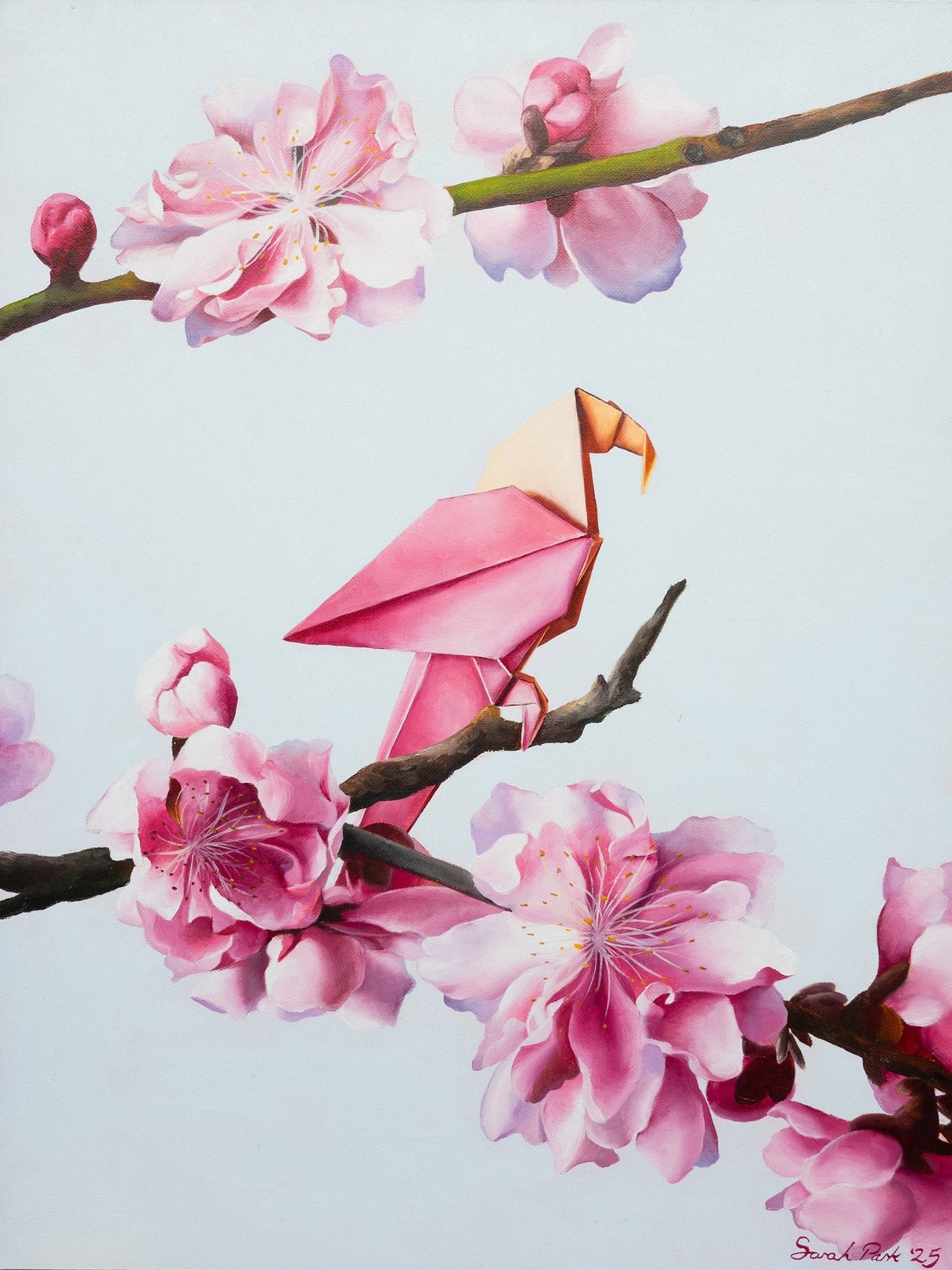 Harmony in Pink - Gold Coast Gallery Of ArtSarah Park