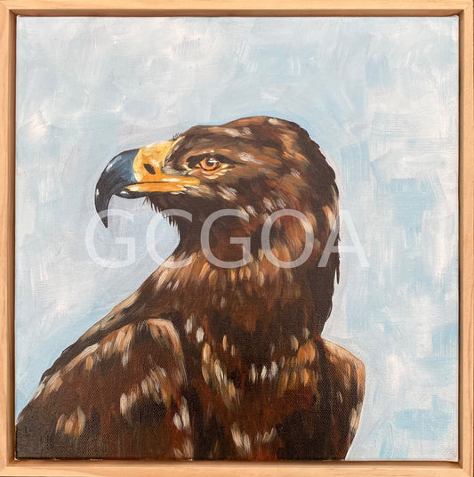Harold the brown eagle - Gold Coast Gallery Of ArtMikayla