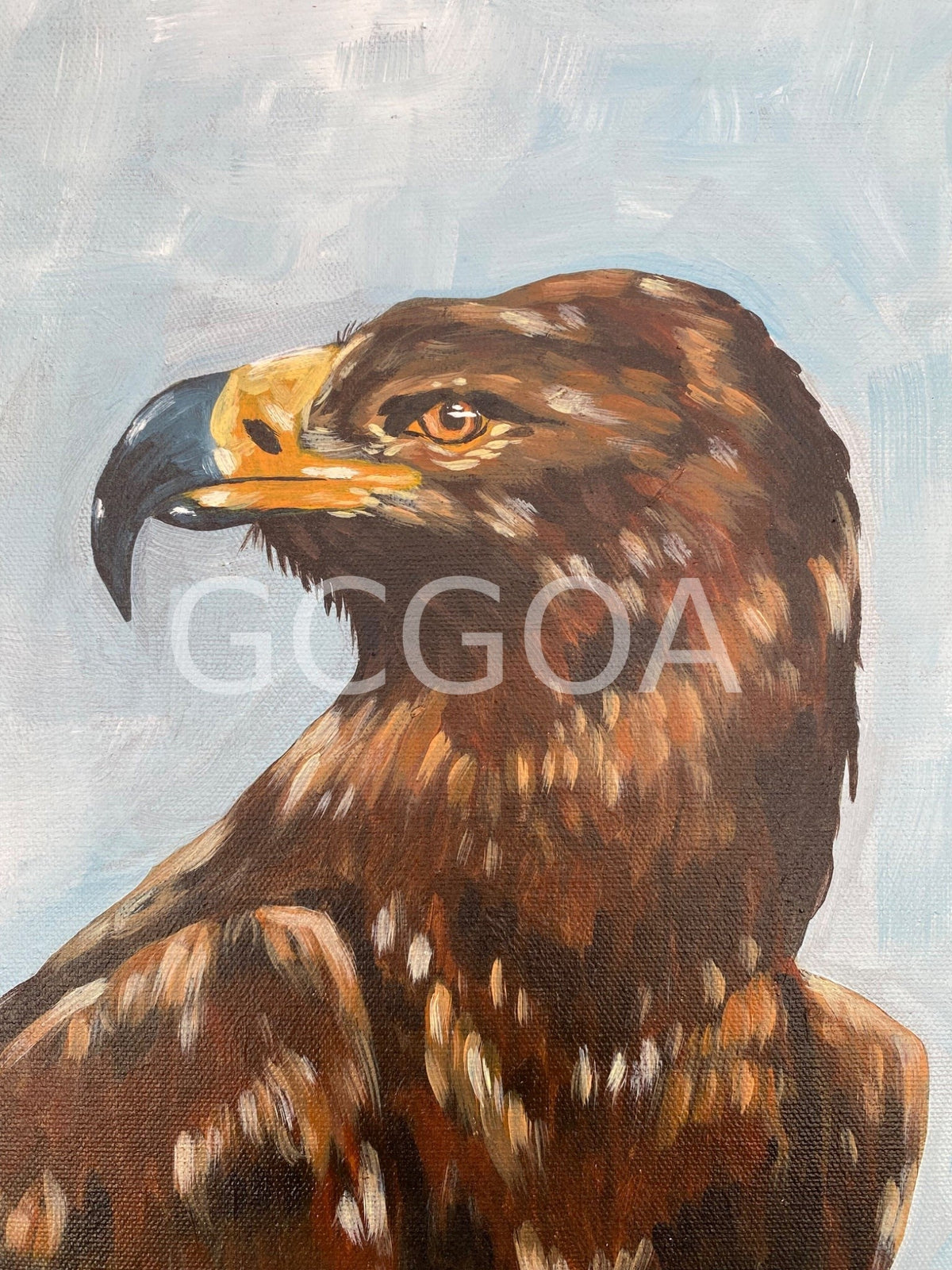 Harold the brown eagle - Gold Coast Gallery Of ArtMikayla