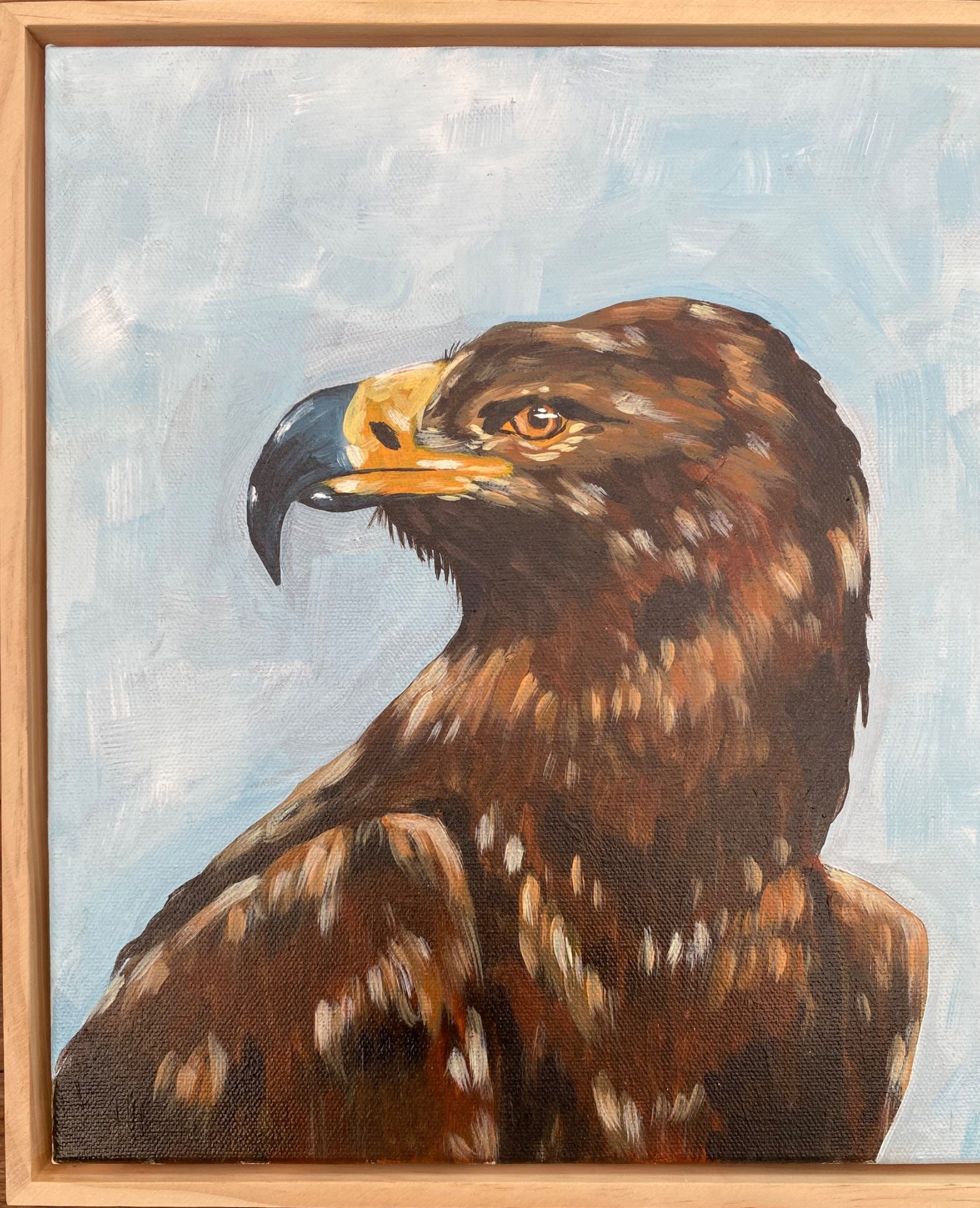 Harold the brown eagle - Gold Coast Gallery Of ArtMikayla