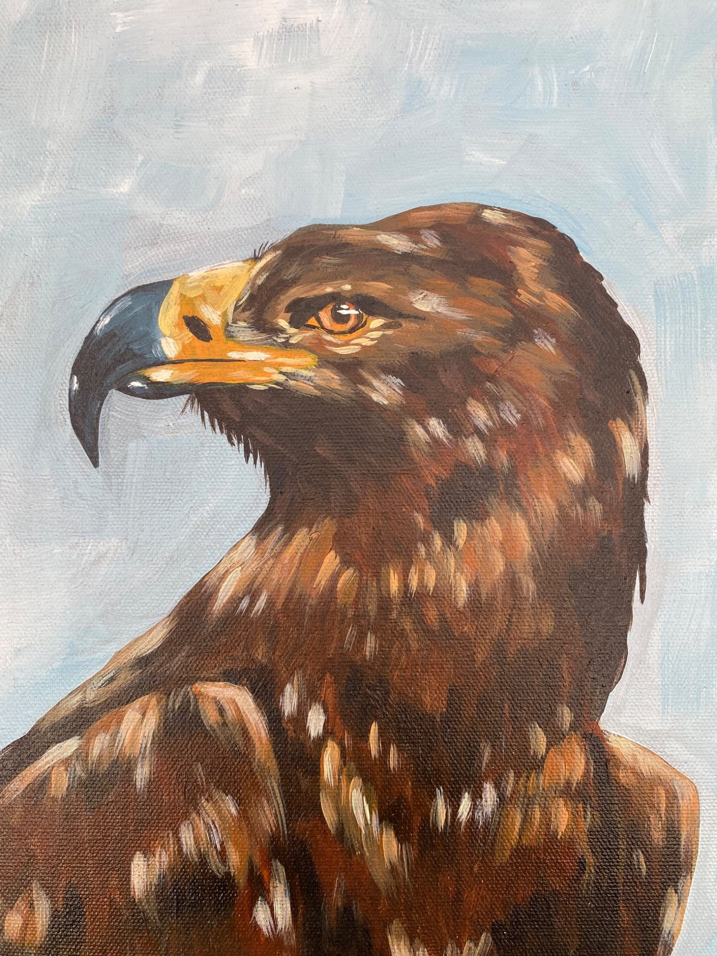 Harold the brown eagle - Gold Coast Gallery Of ArtMikayla