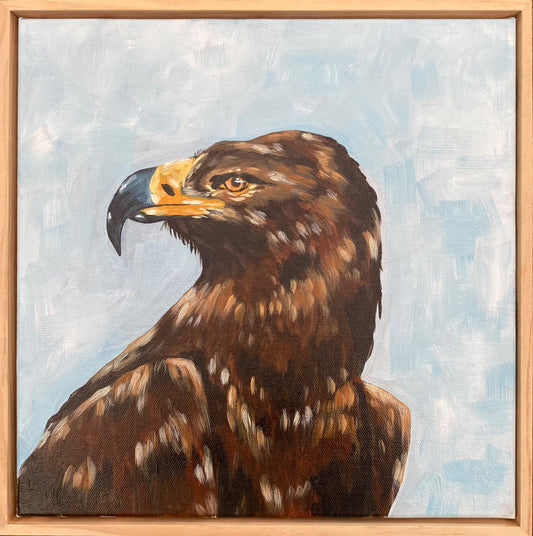 Harold the brown eagle - Gold Coast Gallery Of ArtMikayla