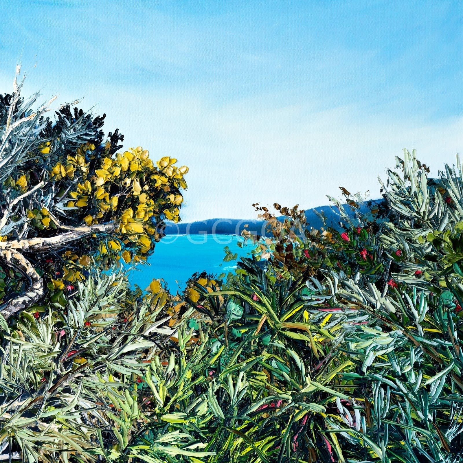 Hat Head Beach Walk - Fine Art Print - Gold Coast Gallery Of ArtAngela Hawkey