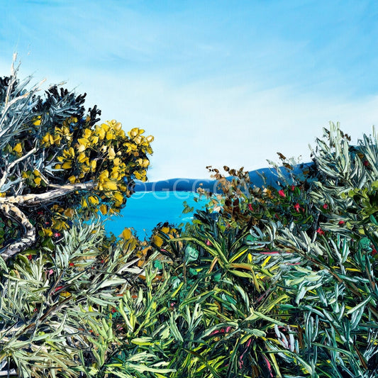 Hat Head Beach Walk - Fine Art Print - Gold Coast Gallery Of ArtAngela Hawkey