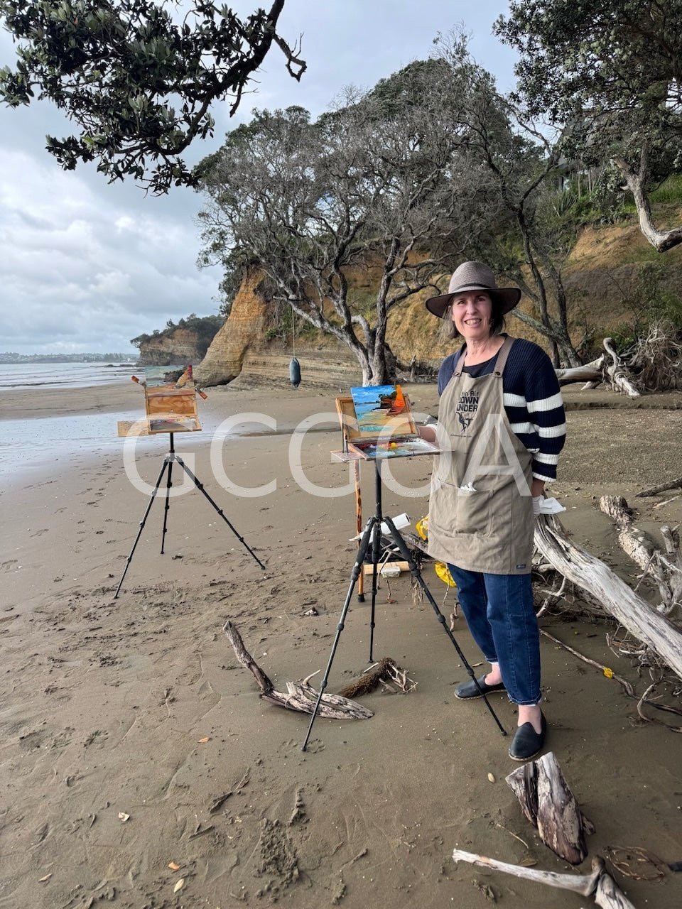 Hatfields Beach New Zealand - Gold Coast Gallery Of ArtHilly Coufreur