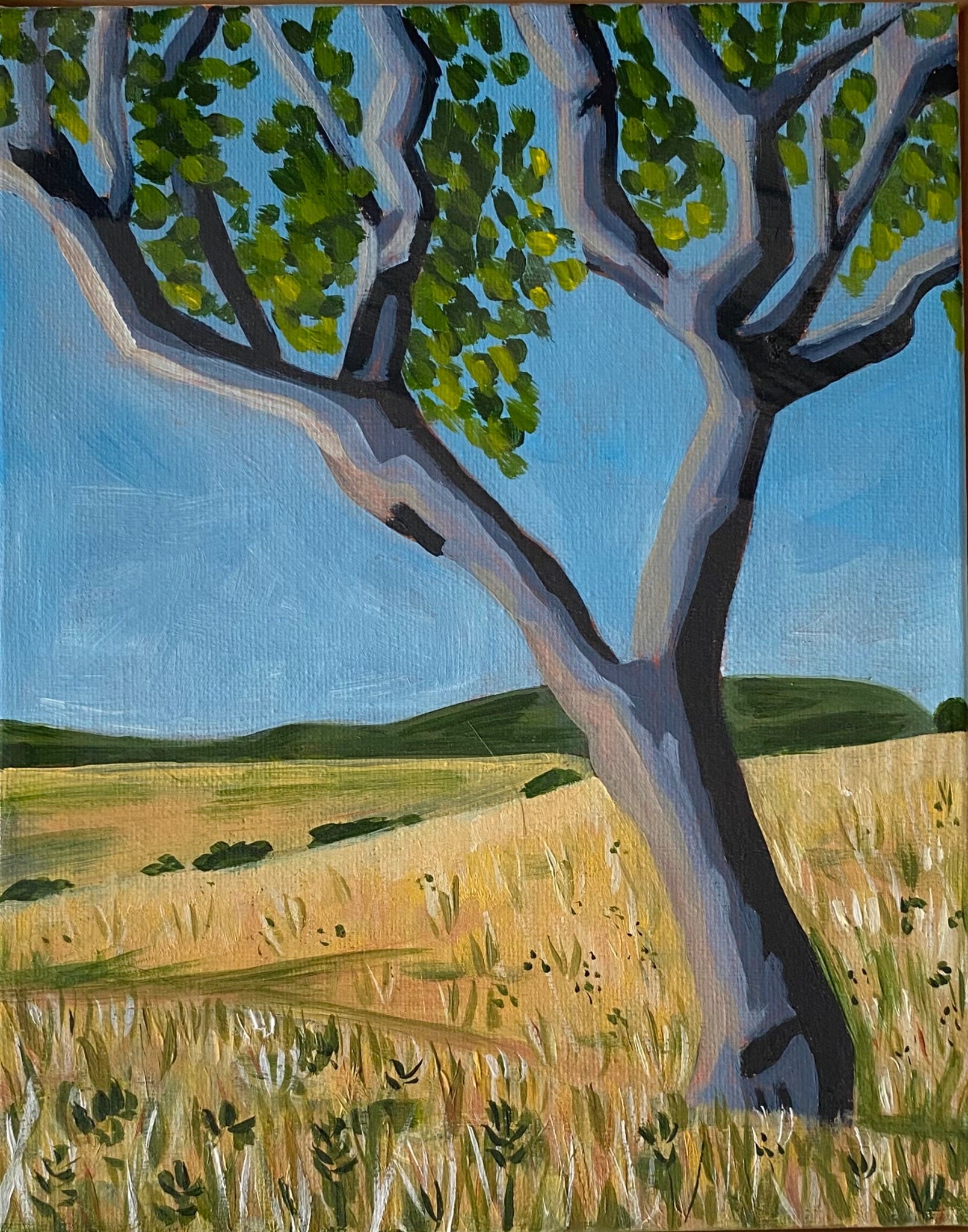 Home - Gold Coast Gallery Of ArtMikayla