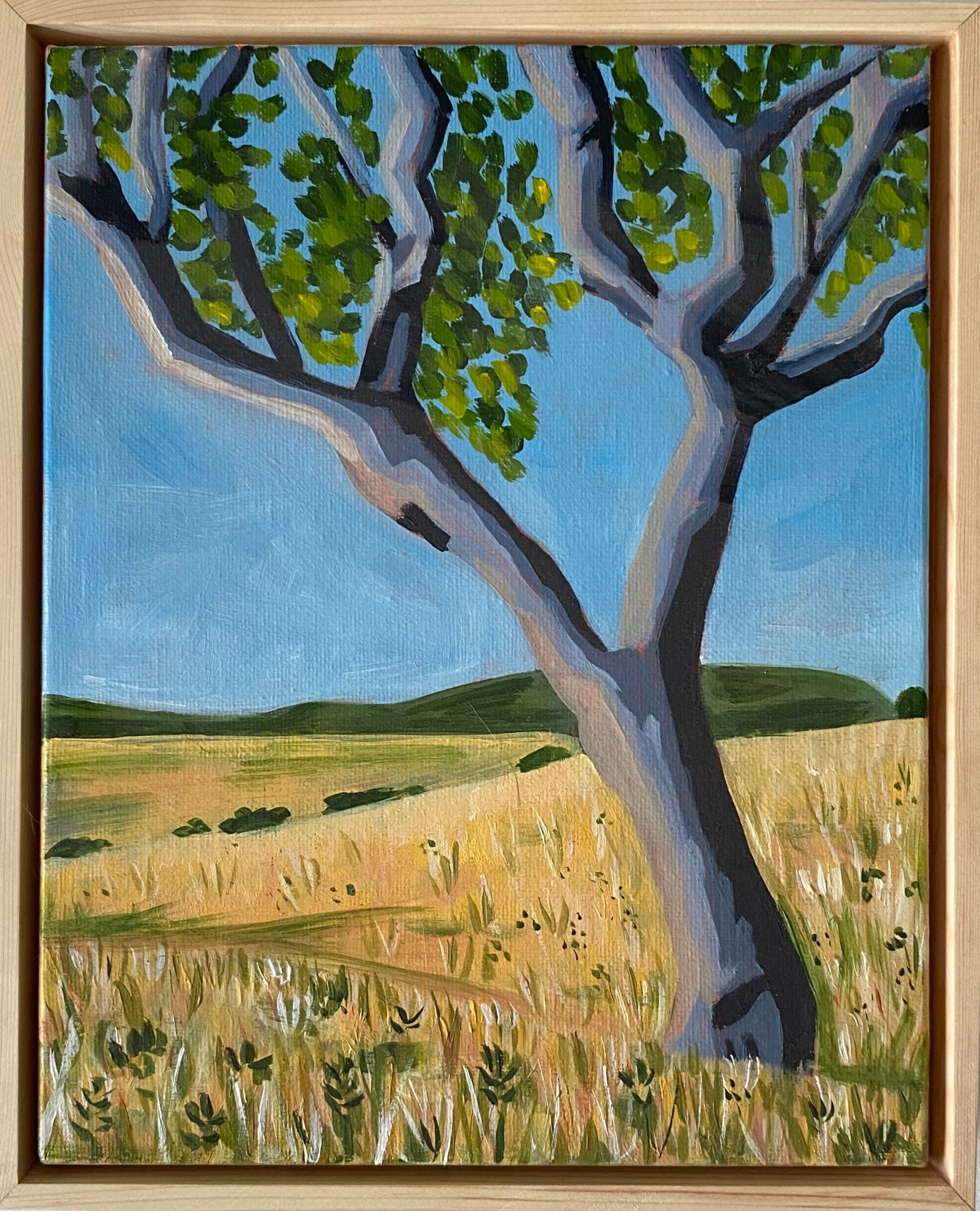 Home - Gold Coast Gallery Of ArtMikayla