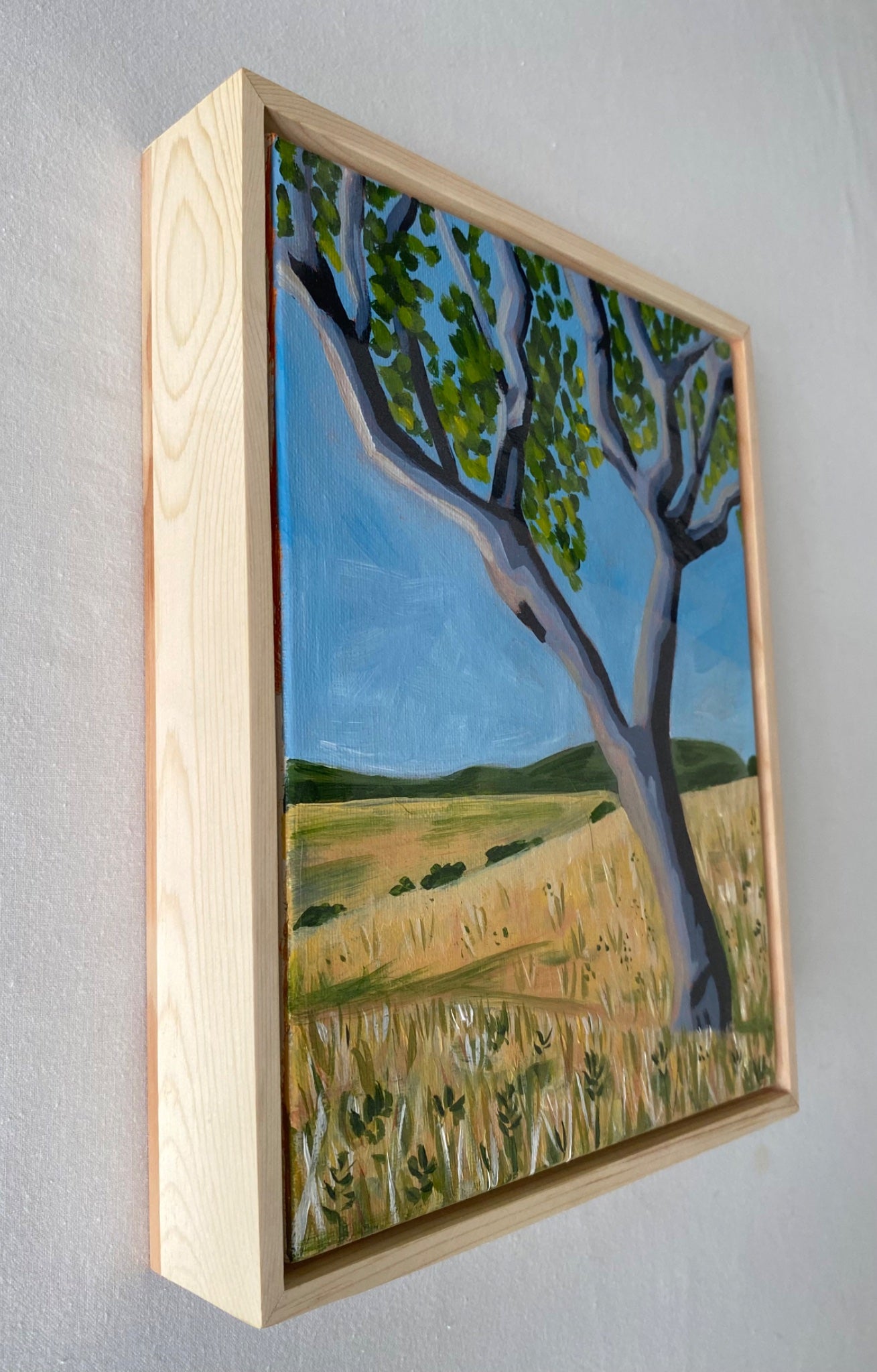 Home - Gold Coast Gallery Of ArtMikayla