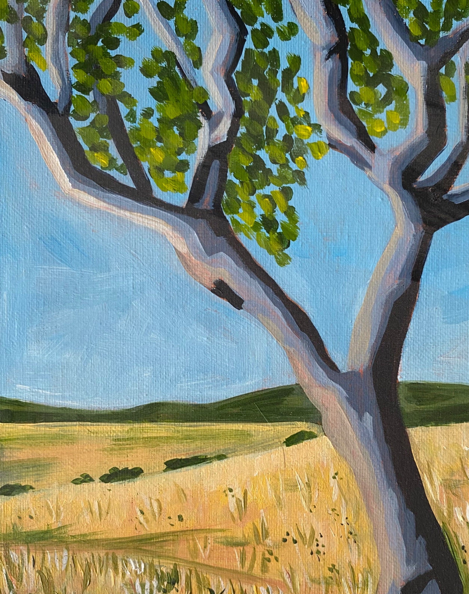 Home - Gold Coast Gallery Of ArtMikayla