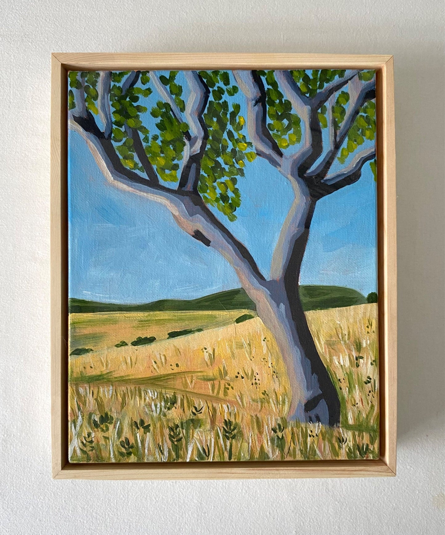 Home - Gold Coast Gallery Of ArtMikayla