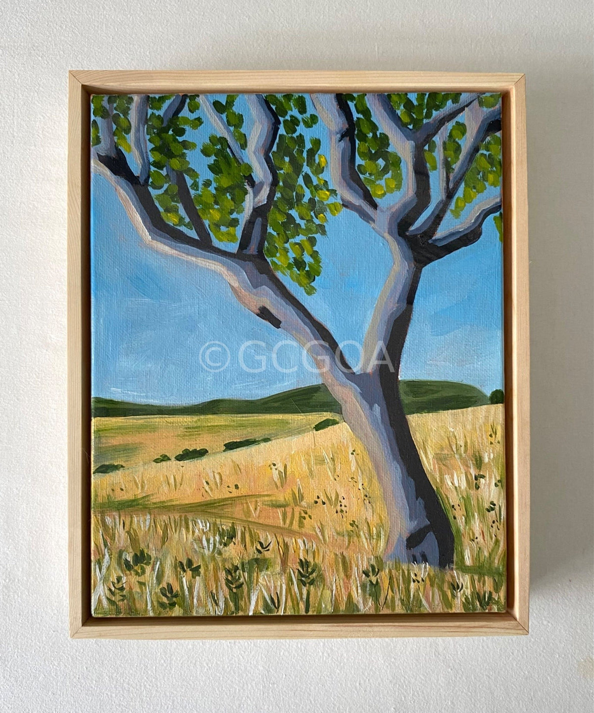 Home - Gold Coast Gallery Of ArtMikayla