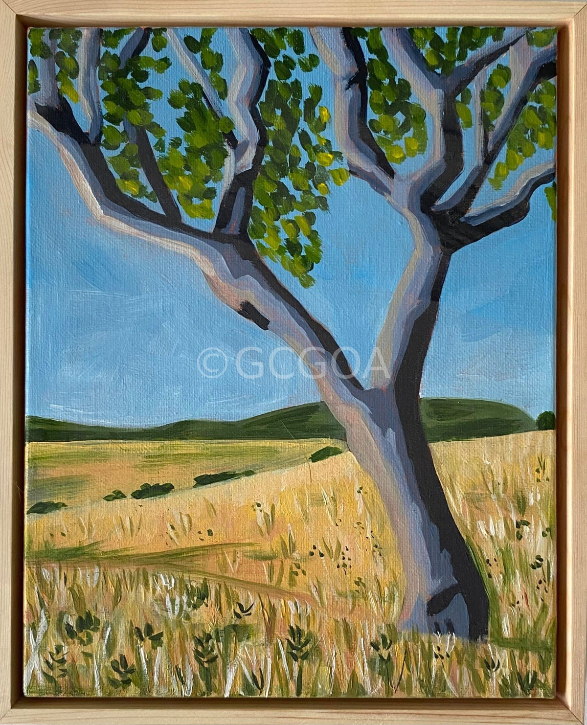 Home - Gold Coast Gallery Of ArtMikayla