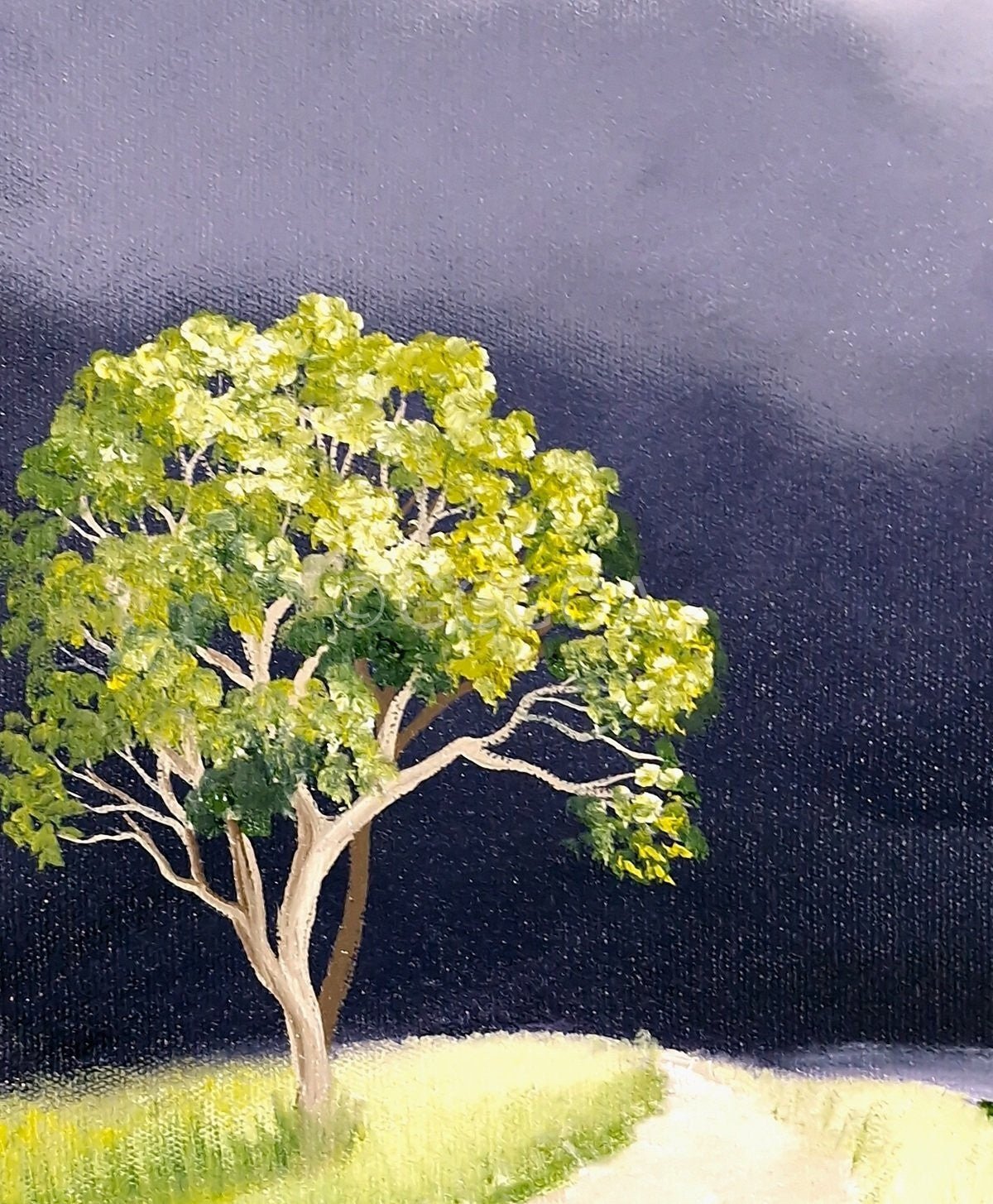 How Green Is The Valley - Original Art - Gold Coast Gallery Of ArtLucinda Leveille