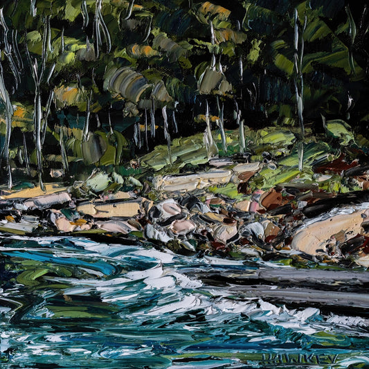 Islander - Fine Art Print - Gold Coast Gallery Of ArtAngela Hawkey