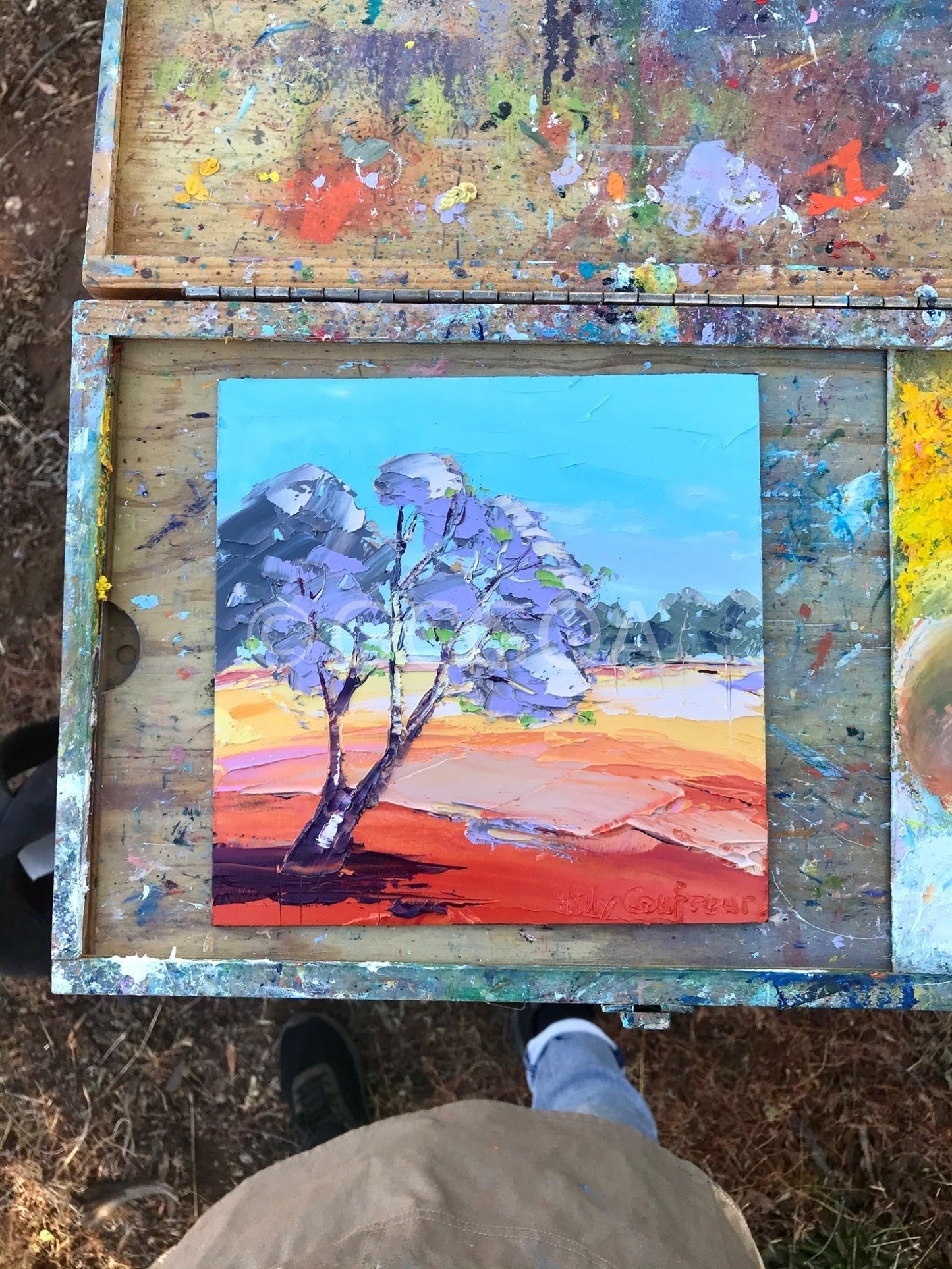 Jacaranda on the Farm - Plein Air - Gold Coast Gallery Of ArtHilly Coufreur
