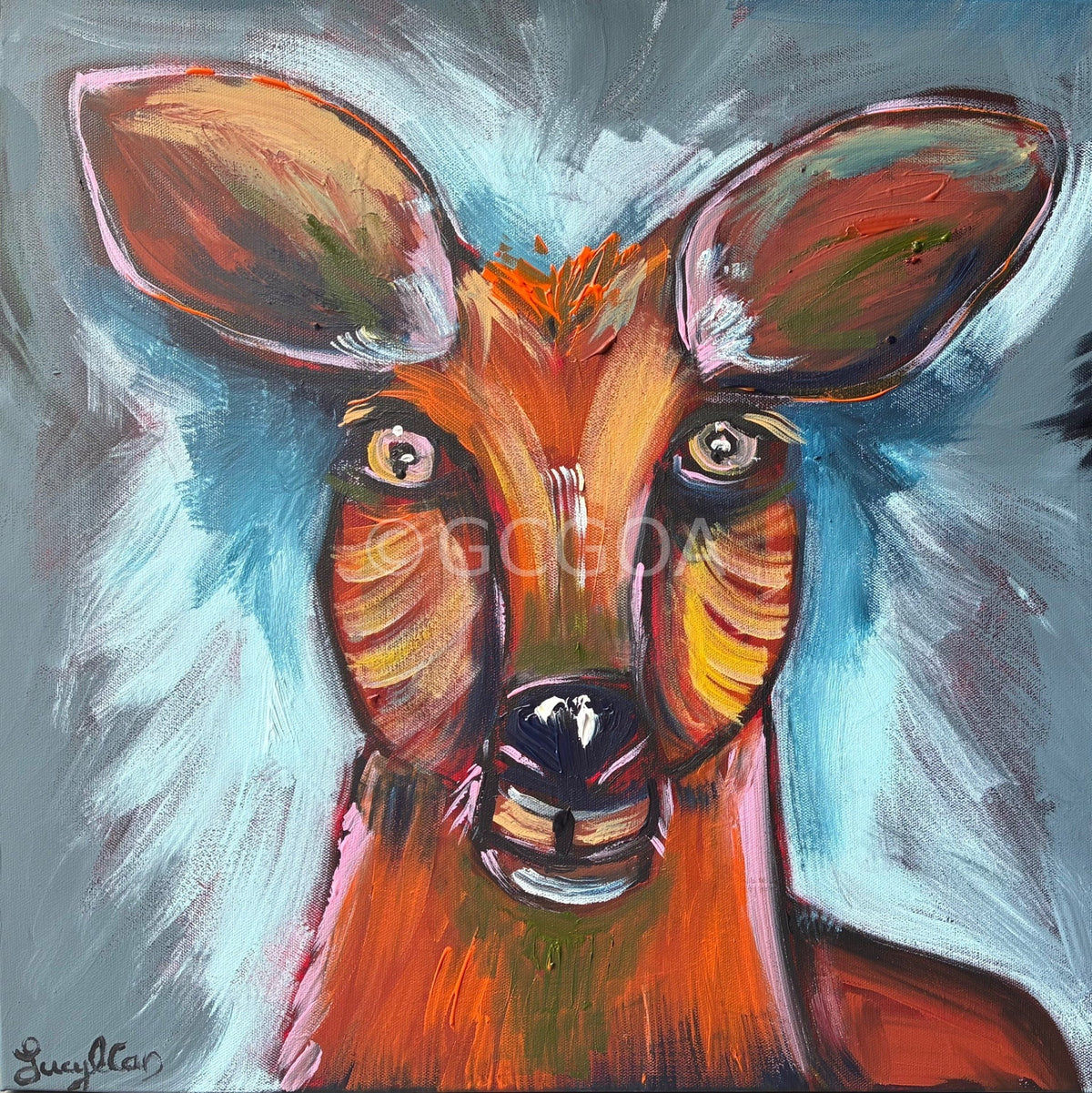 Kangaroo - Gold Coast Gallery Of ArtLucy Car