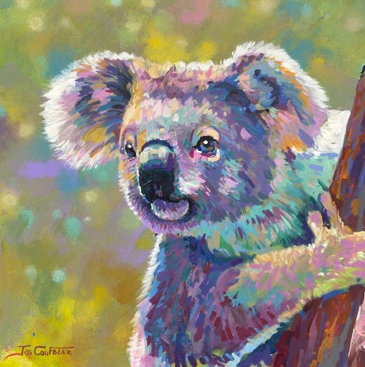 Koala 23 - Gold Coast Gallery Of ArtJos Coufreur