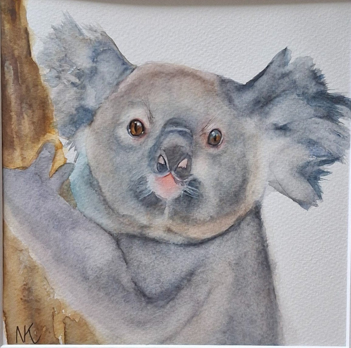 Koala - Gold Coast Gallery Of ArtNatalie K