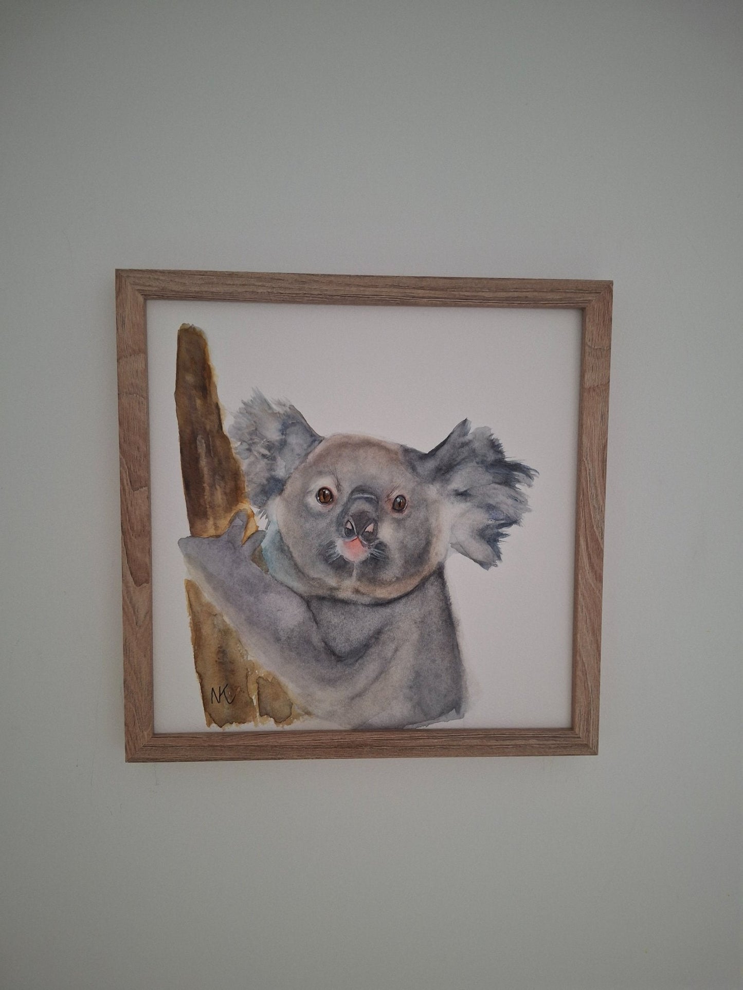 Koala - Gold Coast Gallery Of ArtNatalie K