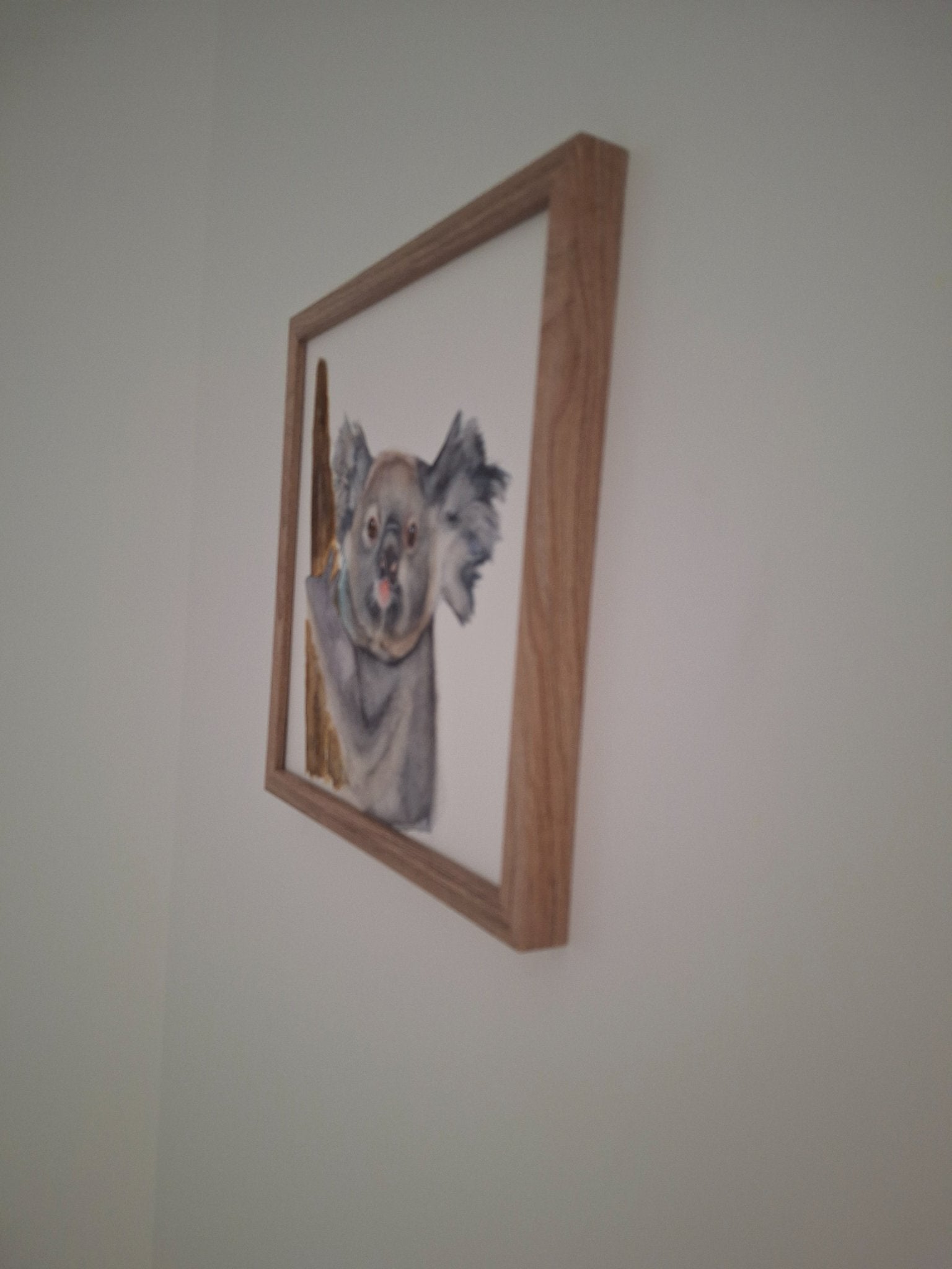 Koala - Gold Coast Gallery Of ArtNatalie K