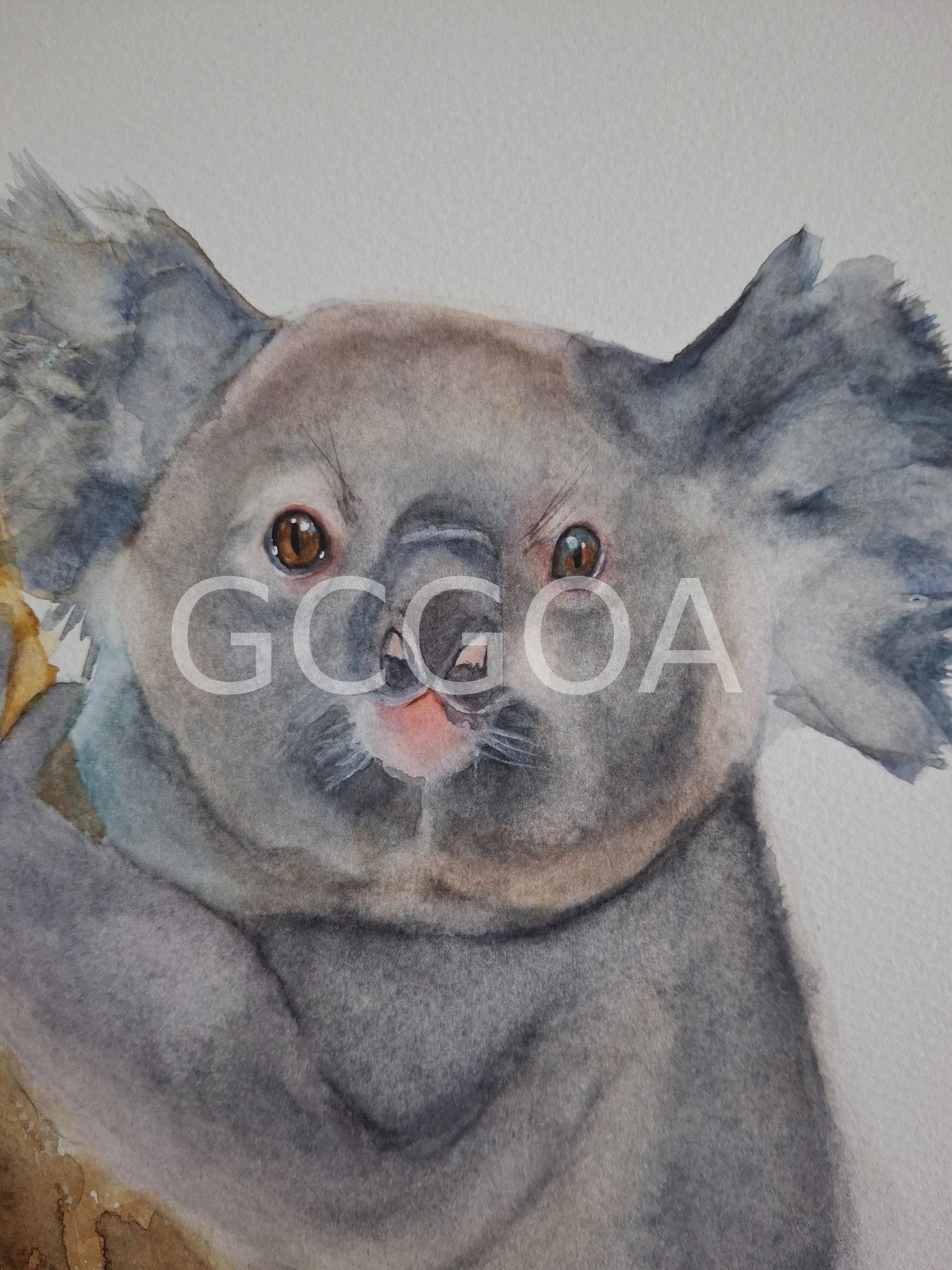 Koala - Gold Coast Gallery Of ArtNatalie K