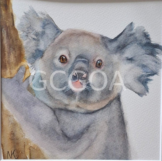 Koala - Gold Coast Gallery Of ArtNatalie K