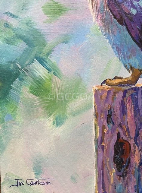 Kookaburra 11 - Original Art - Gold Coast Gallery Of ArtJos Coufreur