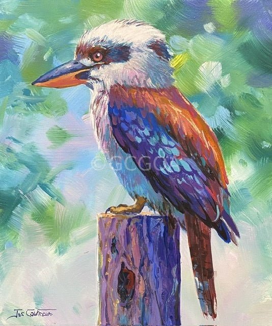 Kookaburra 11 - Original Art - Gold Coast Gallery Of ArtJos Coufreur
