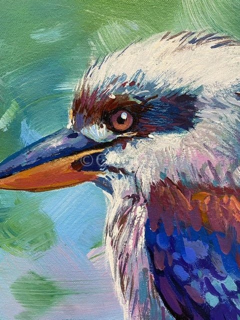 Kookaburra 11 - Original Art - Gold Coast Gallery Of ArtJos Coufreur