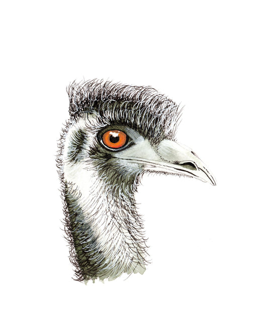 Laurence Tureaud The Emu - Gold Coast Gallery Of ArtYvonne Wells