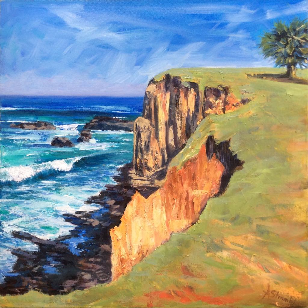 Lennox Head Cliff 2 - Gold Coast Gallery Of ArtAnne Strambi