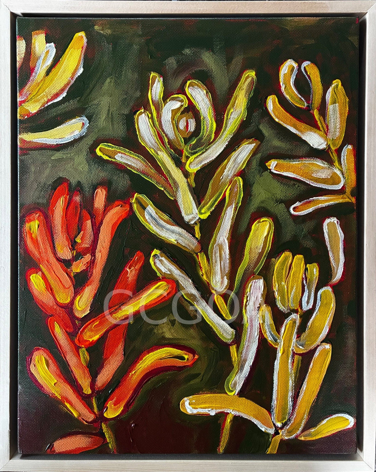 Leucodendrons - Gold Coast Gallery Of ArtLucy Car