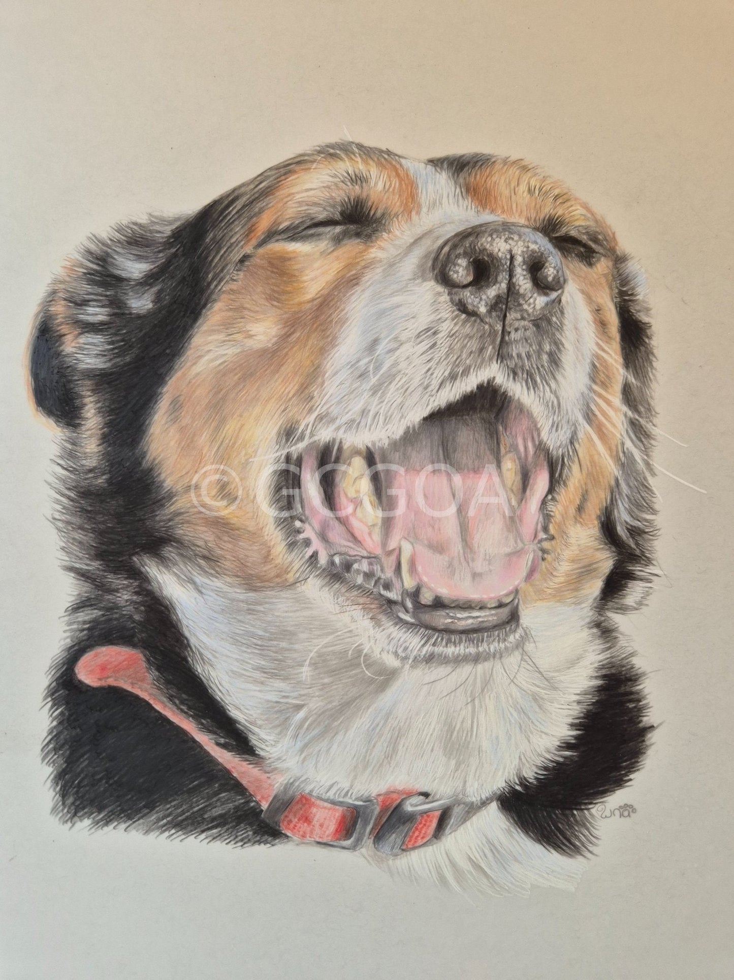 Life Is Good - Gold Coast Gallery Of ArtRenae Hall