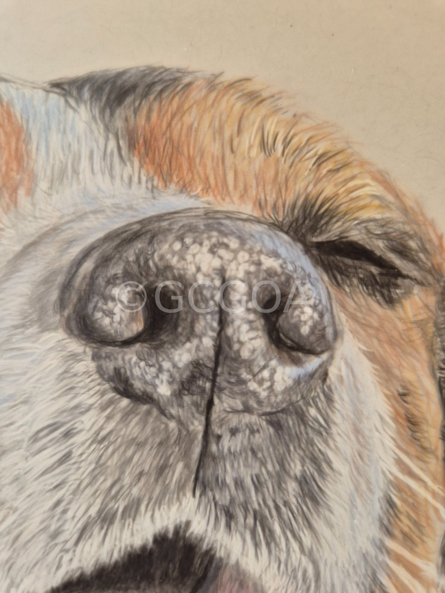 Life Is Good - Gold Coast Gallery Of ArtRenae Hall