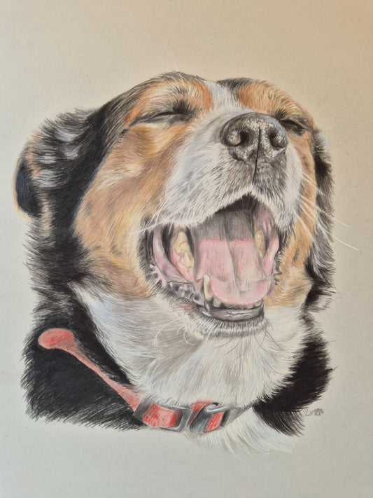 Life Is Good - Gold Coast Gallery Of ArtRenae Hall