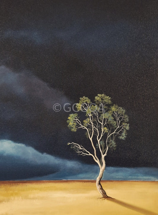 Light On The Last Tree - Gold Coast Gallery Of ArtLucinda Leveille