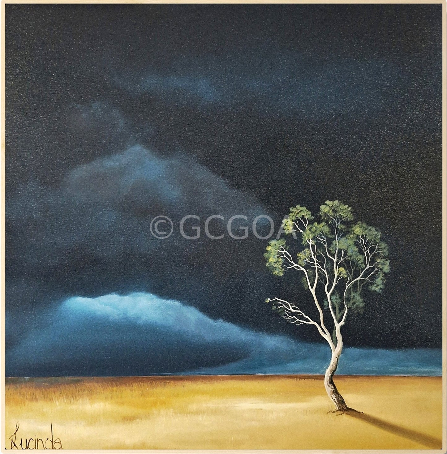 Light On The Last Tree - Gold Coast Gallery Of ArtLucinda Leveille