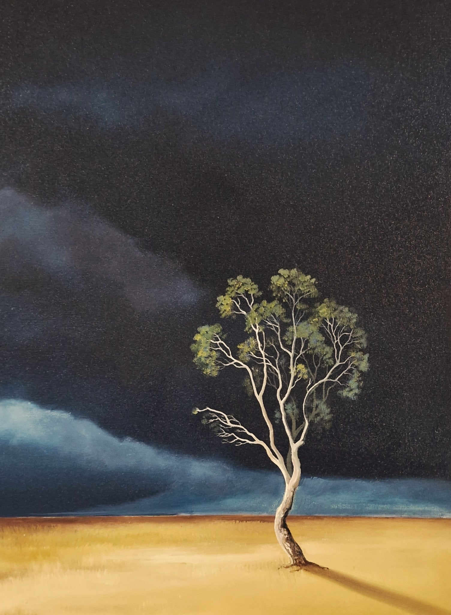 Light On The Last Tree - Gold Coast Gallery Of ArtLucinda Leveille