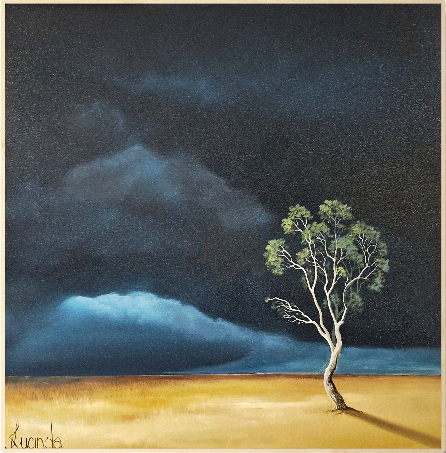 Light On The Last Tree - Gold Coast Gallery Of ArtLucinda Leveille