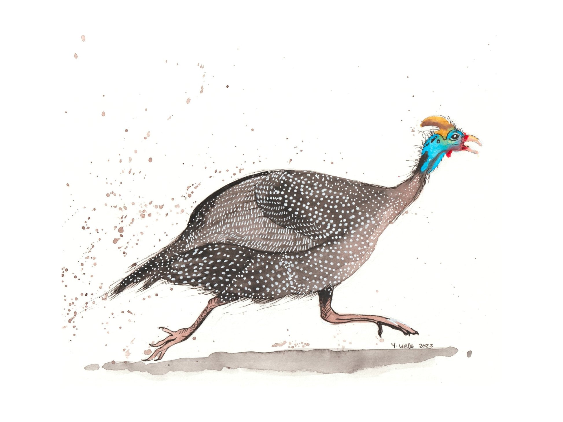 Liz and Lou - the guinea fowl affair ( set of two) - Gold Coast Gallery Of ArtYvonne Wells