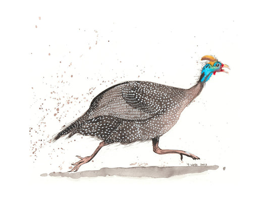 Liz and Lou - the guinea fowl affair ( set of two) - Gold Coast Gallery Of ArtYvonne Wells