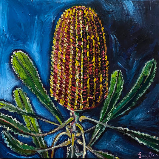 Lone Banksia - Original Art - Gold Coast Gallery Of ArtLucy Car